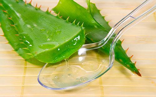 Succo di aloe su un cucchiaio