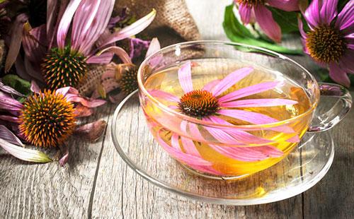 Tè Echinacea