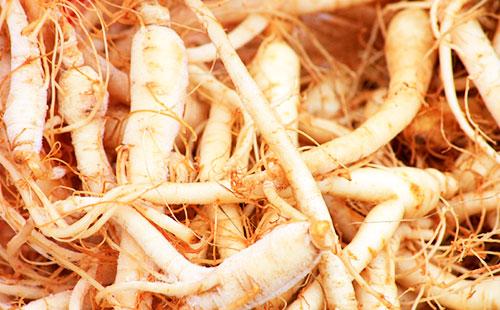 Radici Di Ginseng