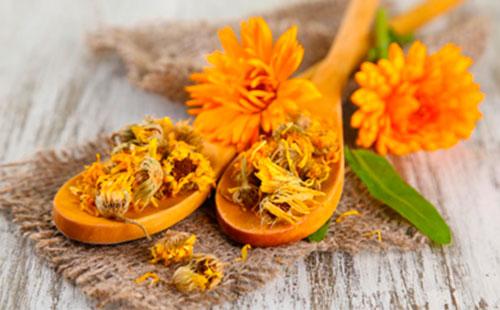 Fiori di calendula secchi