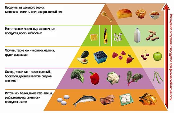 Piramide alimentare