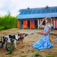 Ragazza in abito blu gioca con rimorchiatori di animali domestici