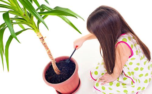 La ragazza allenta la terra in un vaso di fiori