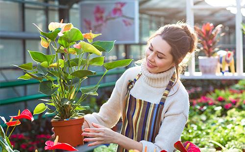 La bella ragazza tiene un vaso di fiori con l'anturio