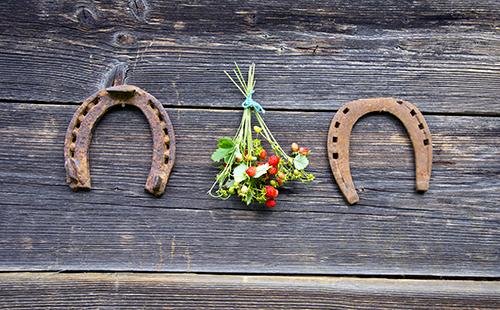 Due ferri di cavallo e un bouquet di fragoline di bosco