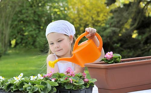 Ragazza innaffiando i vasi di begonia