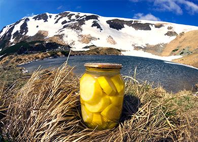 Banca con zucchine in scatola su uno sfondo di montagne