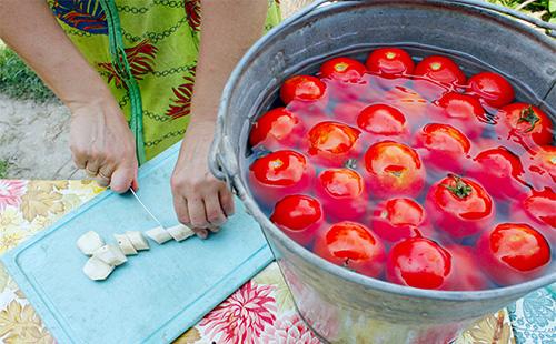 Pomodori in un secchio