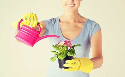 Donna che innaffia un fiore da un annaffiatoio rosa