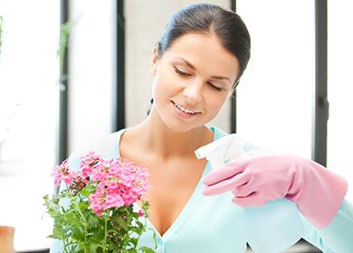 Donna che spruzza un fiore in un vaso