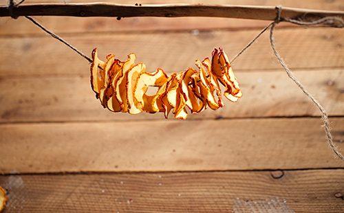 Rope Apple Slice