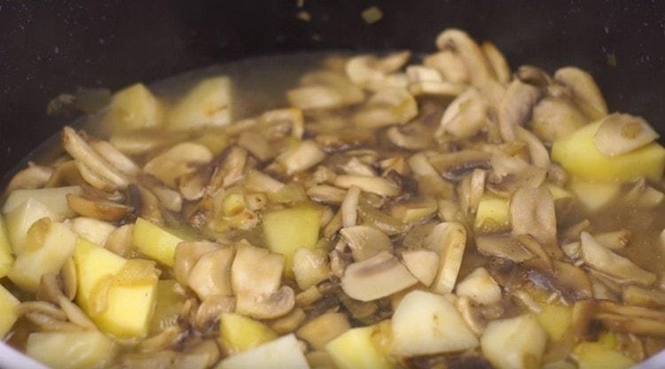 Versare l'acqua in modo che copra tutti i componenti della futura zuppa e cuocere.