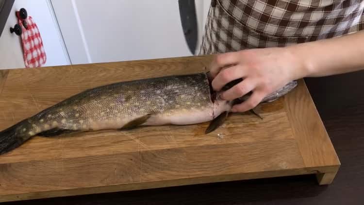 Come cucinare le cotolette di luccio: una ricetta davvero deliziosa