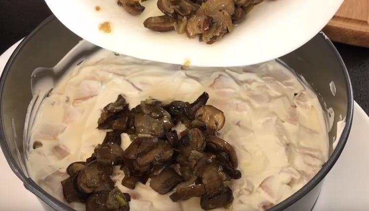 Metti i funghi raffreddati sopra uno strato di carne di pollo.