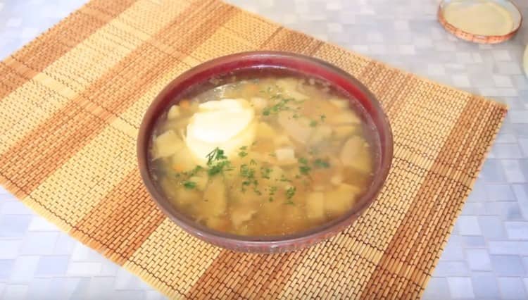 Quando servi in ​​una zuppa di funghi porcini, puoi aggiungere la panna acida.