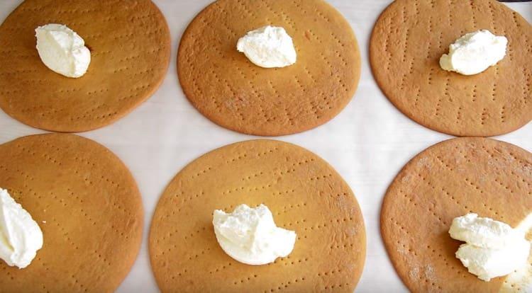 Distribuiamo la crema su ogni torta, lasciando un po 'per decorare la torta.