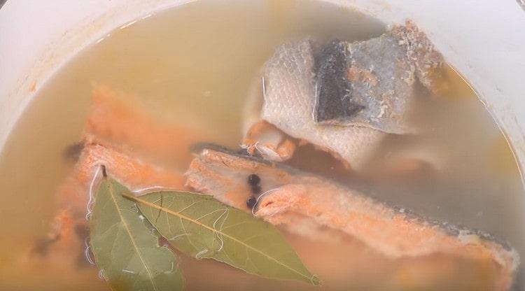 Riempi le creste, la pelle e le ossa grandi con acqua e mettile a cuocere, aggiungi pepe e alloro al brodo bollito.