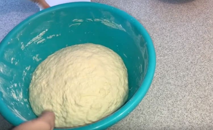 L'impasto pronto aumenterà leggermente a causa del kefir.