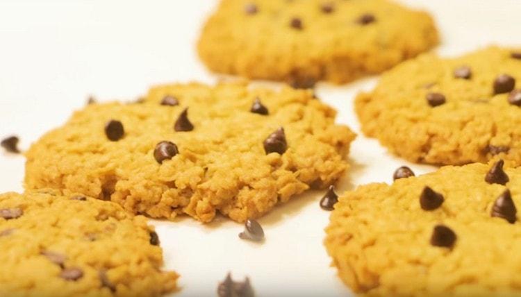 Tali biscotti di farina d'avena con cioccolato delizieranno sia un gusto piacevole che un aroma delicato.