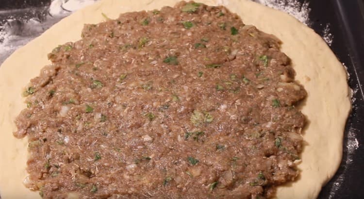 Distribuiamo il ripieno di carne con uno strato uniforme in modo che 2-3 cm di pasta ai bordi rimangano liberi.