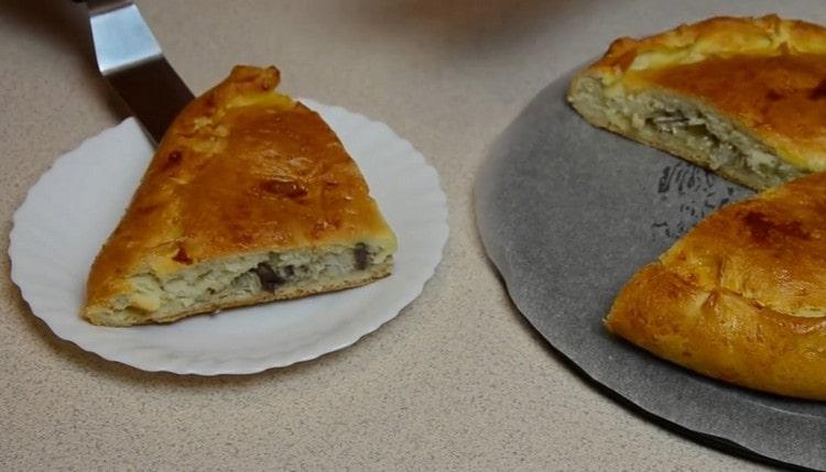 Una tale torta con pesce di pasta lievitata sarà un pasto eccellente indipendentemente dal tempo.