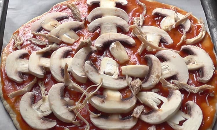 Spalmiamo funghi e pollo sopra la salsa.