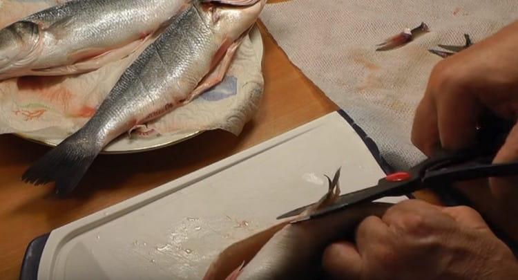 Puliamo le carcasse di branzino, tagliamo le pinne.