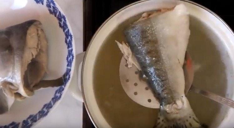 Estraiamo le teste di pesce e la coda dal brodo finito, filtriamo.