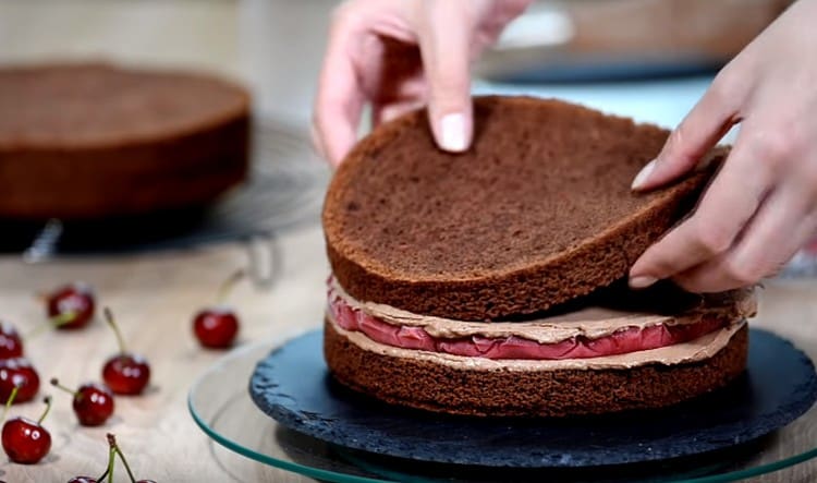 Copri la gelatina di panna e stendi la seconda torta.