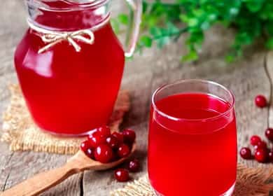 Succo di mirtillo rosso - una ricetta per una bevanda molto sana e gustosa