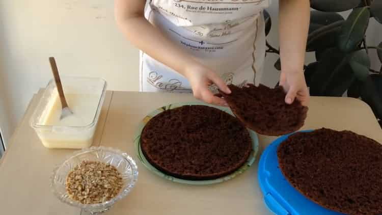 Per preparare una torta al cioccolato allo yogurt, prepara torte