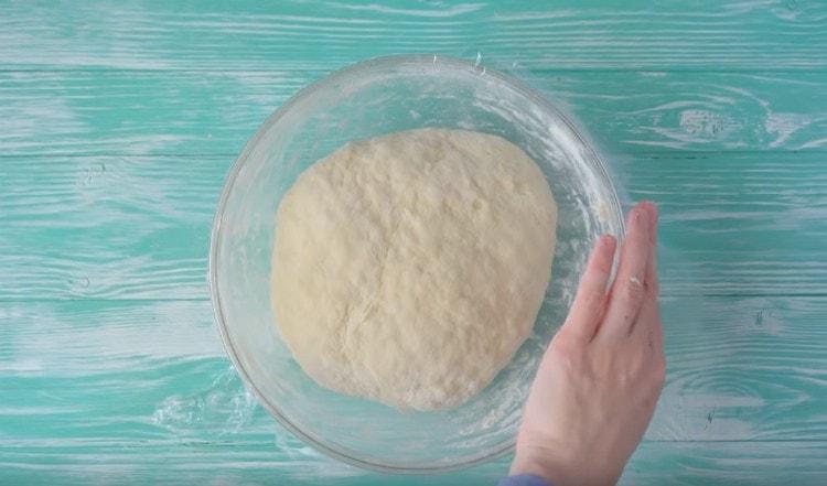 Copriamo la ciotola con l'impasto con pellicola trasparente e lasciamo fermentare per mezz'ora.