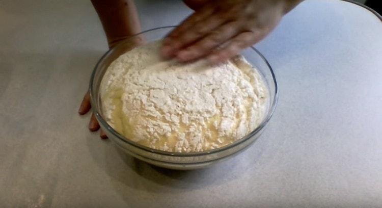 lasciare l'impasto in un luogo caldo in modo che si adatti.