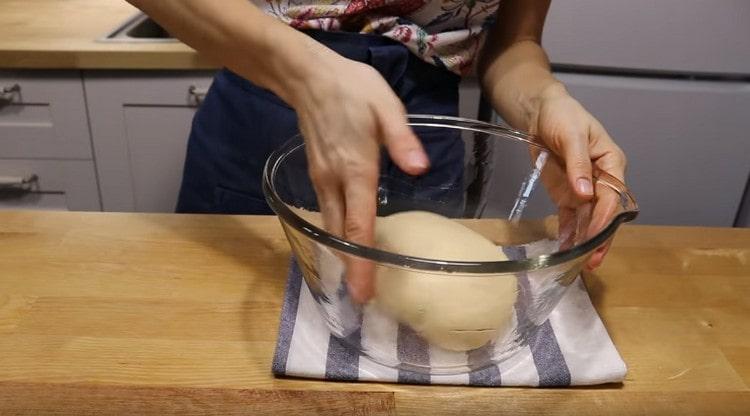 Metti l'impasto preparato in una ciotola unta con olio vegetale.