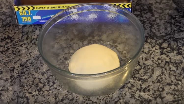 Metti l'impasto liscio finito in una ciotola unta con olio vegetale e copri con pellicola trasparente.