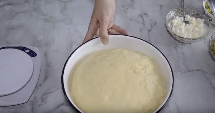 L'impasto di lievito per torte al forno è pronto.