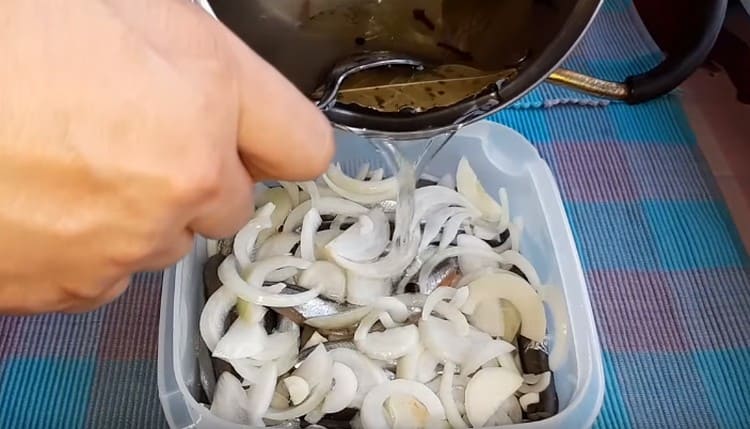 Riempi la capelin con la marinata ottenuta e inviala in frigorifero.