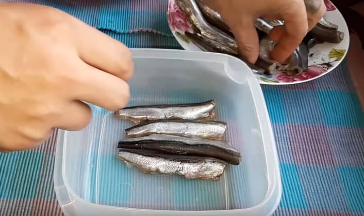 Aggiungiamo capelin in uno strato denso in un contenitore per alimenti.