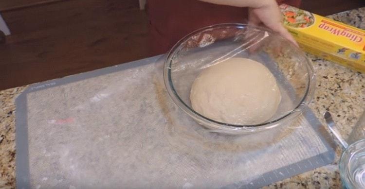 Metti l'impasto finito in una ciotola unta con olio vegetale e lascialo lievitare.