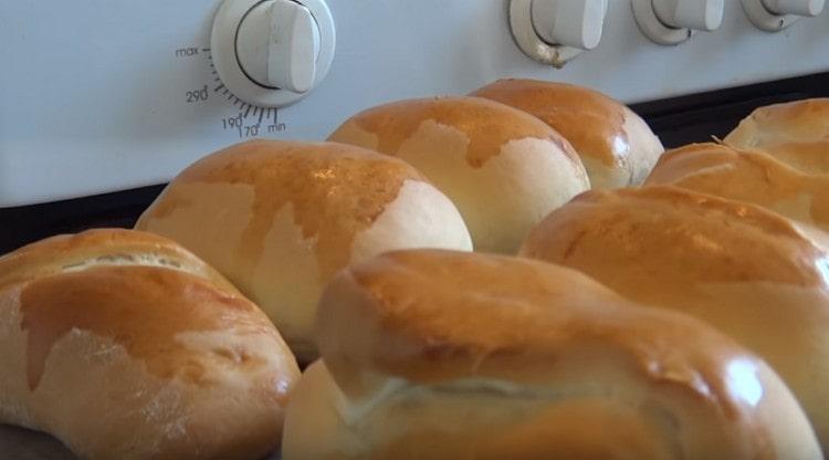 Queste sono torte di patate così semplici e gustose che abbiamo preparato in forno.