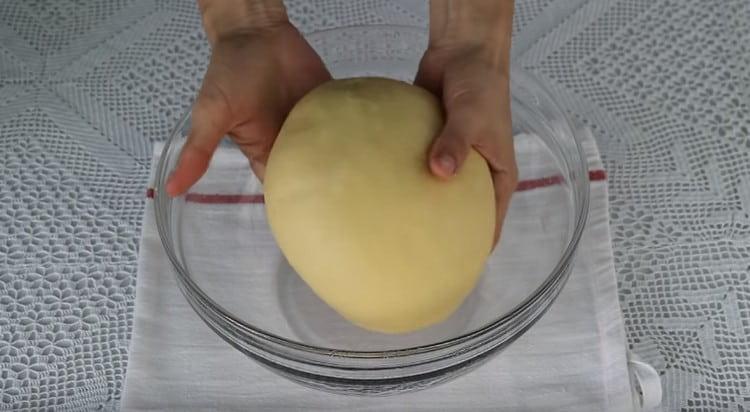 Metti l'impasto finito in una ciotola unta con olio vegetale.