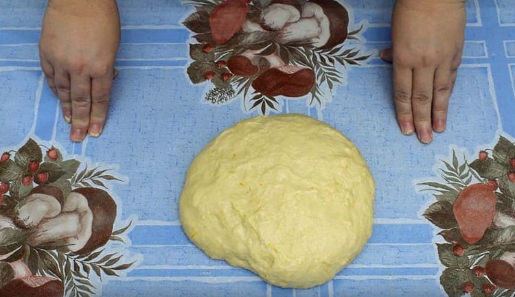 L'impasto è pronto, devi metterlo in una ciotola profonda e lasciarlo in un luogo caldo in modo che possa lievitare.