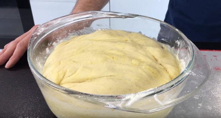 L'impasto per le torte al latte è aumentato bene, puoi lavorarci sopra.