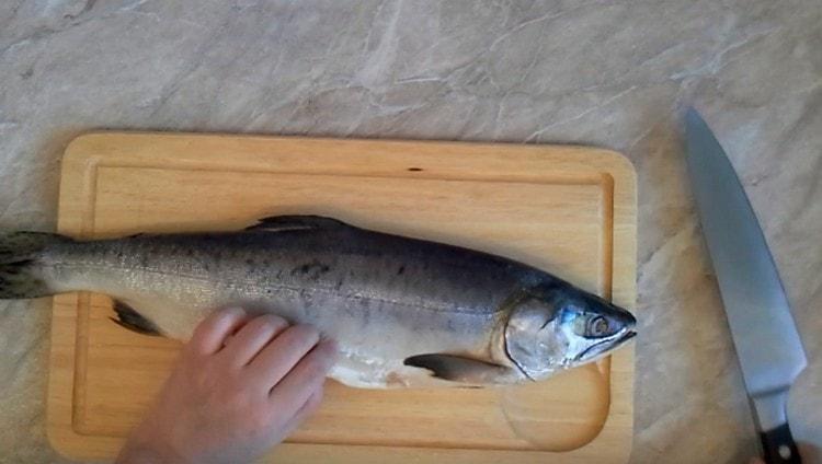 Puliamo il salmone rosa dalle squame, sventriamo, rimuoviamo le branchie.