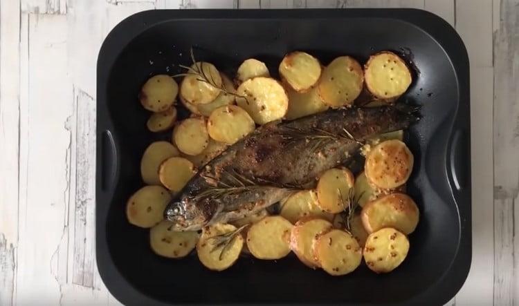 Cuociamo trote al forno con patate e godiamo il gusto di un piatto meraviglioso.