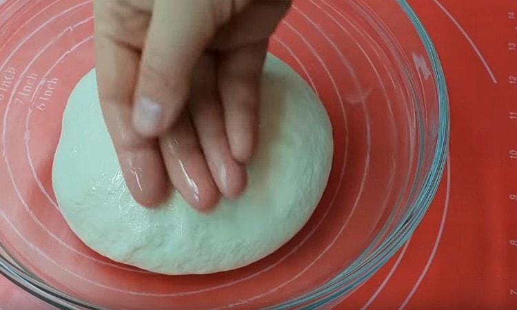 Lasciamo l'impasto finito in una ciotola unta con olio vegetale.