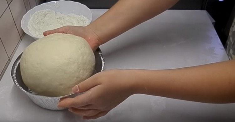 Dopo aver formato il pane rotondo, metterlo in una forma unta con olio vegetale.