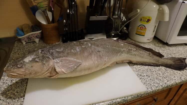 Per preparare la zuppa di bottatrice, preparare gli ingredienti