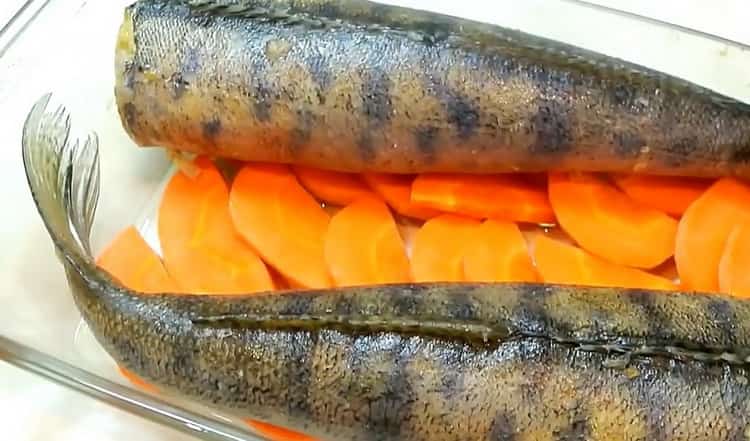 Per cucinare la zander ripiena, metti il ​​pesce su una carota