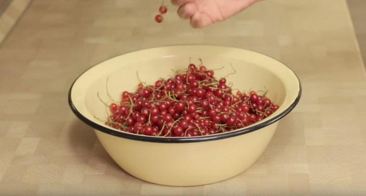 Laviamo bene il ribes rosso, puoi lasciare i rami.